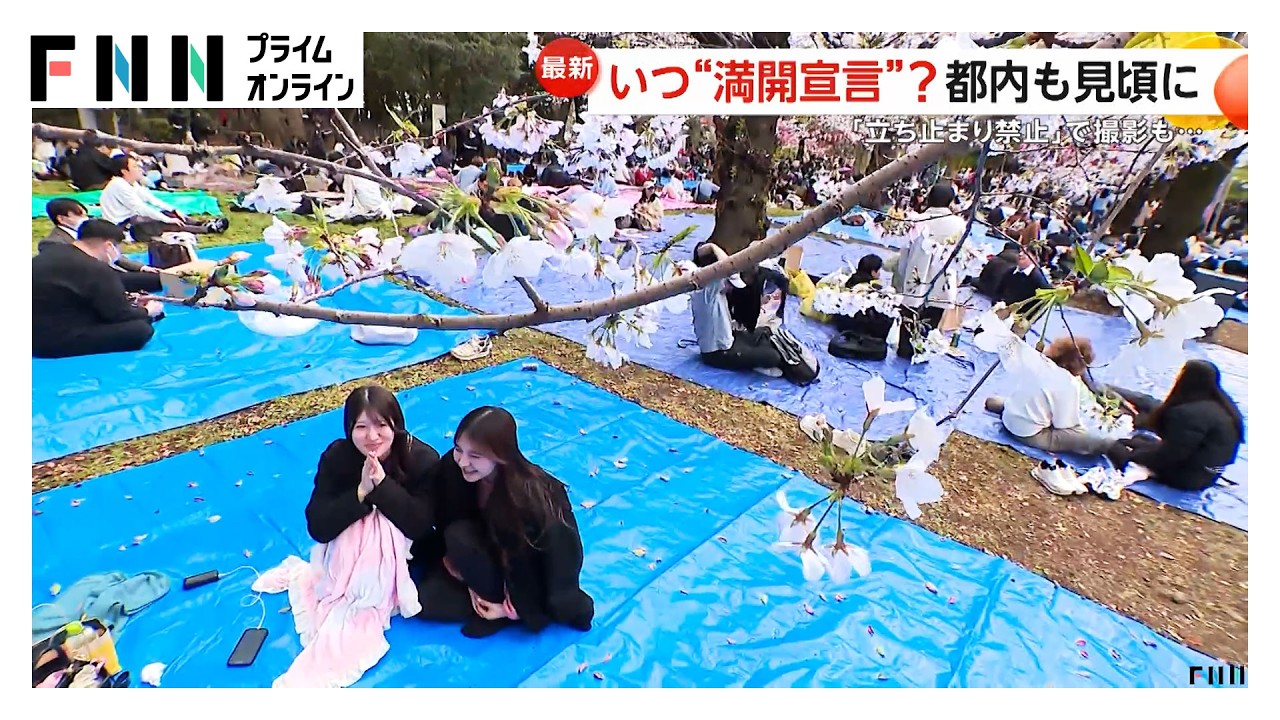 花見シーズン到来か 都内は花見客でにぎわうも”満開宣言”27日以降に持ち越し 広島・大分では桜の枝が折られるなど被害（2026年03月27日） img