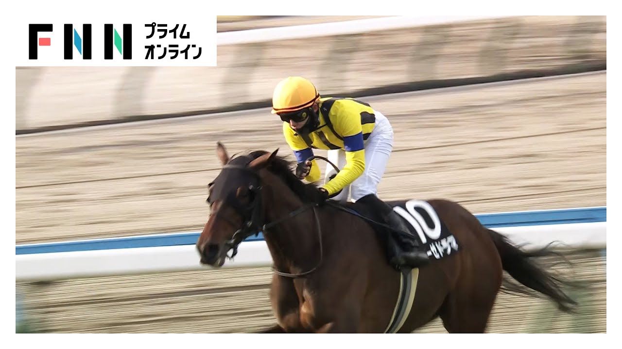 【小倉日経賞（OP）】東京・京都が積雪で異例の開催中止　小倉の主役は4歳牝馬レーゼドラマ（2026年02月08日） img