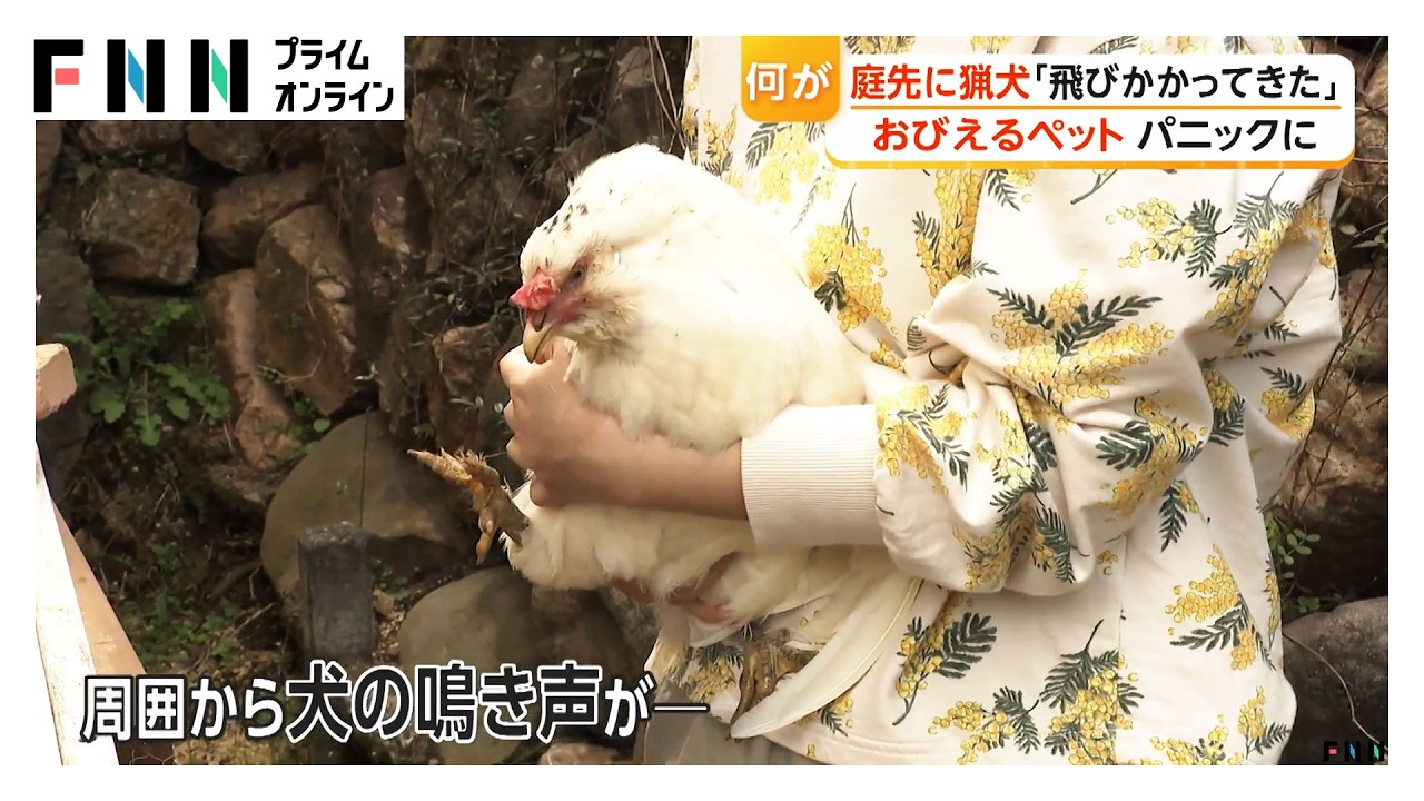 ひなたぼっこ中に庭先で猟犬と遭遇　ペットおびえ飼い主もパニックに　地元猟友会「申し訳なかった」（2026年03月30日） img