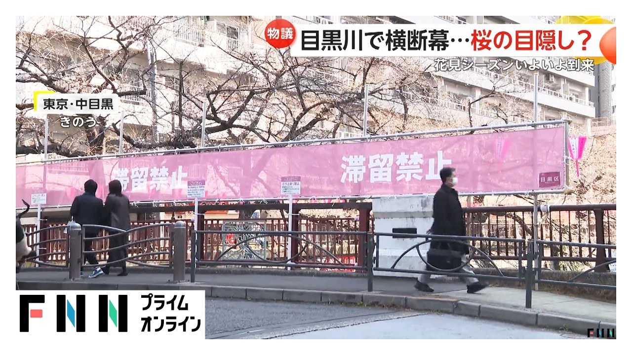 目黒川を覆う横断幕…桜の“目隠し”が物議「景観的に残念」（2026年03月26日） img