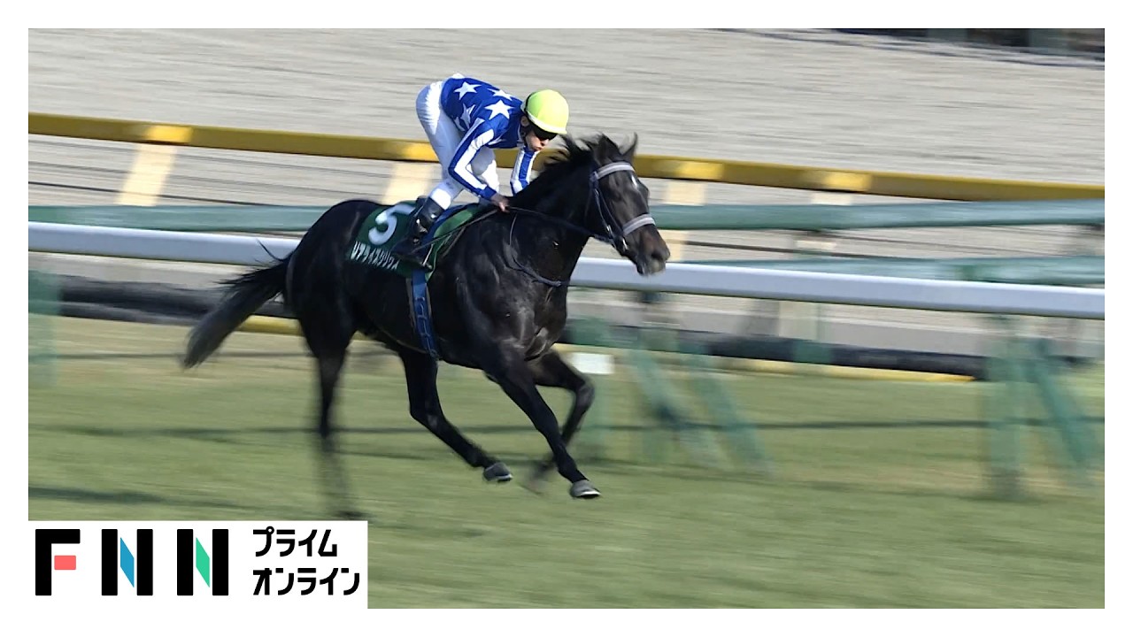 【京都記念・GⅡ＆共同通信杯・GⅢ】　WIN5発売金額が史上最高62億円超！　引退間近の藤岡佑介騎手が復活Vに導く＆リアライズシリウス重賞2勝目（2026年02月16日） img