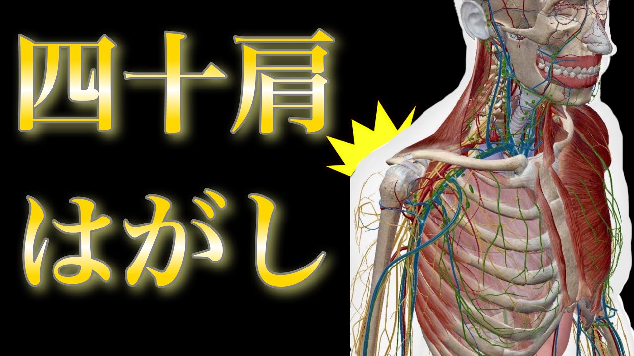 四十肩五十肩今すぐあがる‼️99％が知らない肩の痛みの原因！ img
