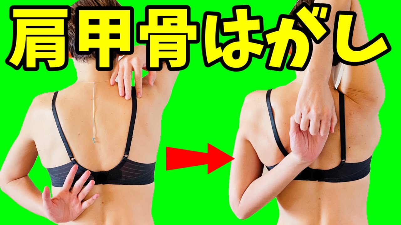 肩甲骨はがしで今すぐ痩せる‼️猫背肩こり解消✨ img